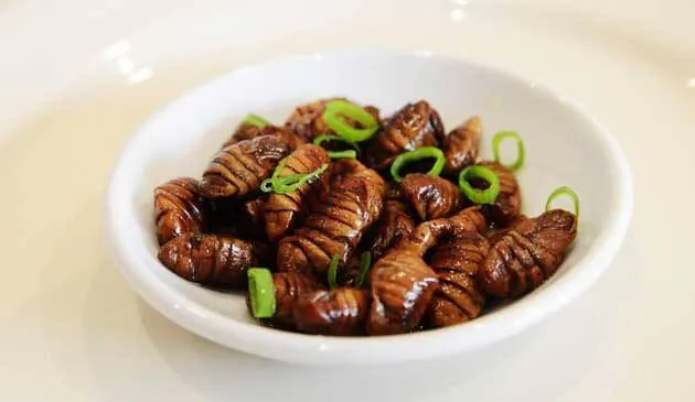 Assamese Silk Worm (Polu): The Adventurous Protein